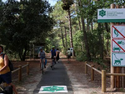 Nous avons passé la journée avec David Robert, agent de l'Office National des Forêts sur la réserve naturel Dunes et Marais d'Hourtin. Lieu dit Piqueyrot avec sa rosière protégée.